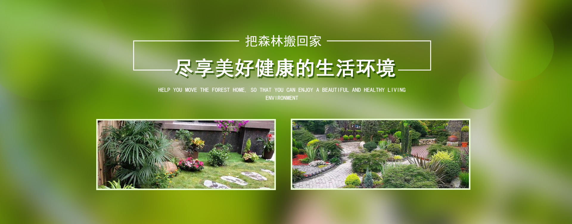 重庆植物租赁,重庆市宜娇园林有限公司